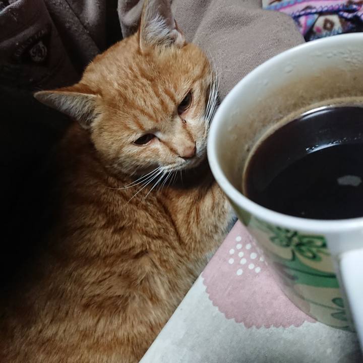 576423f2 d421 439e bae2 a7e8dc0d2db3 1576528446077