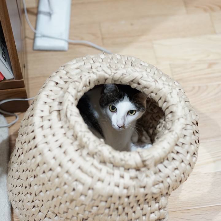 57648e6e 4625 41e5 9ba5 cbbba4a9c898 1557963063735