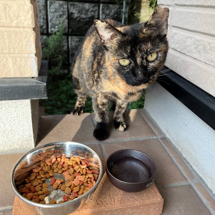 57648ec6 ab36 4d33 8b49 d069d16ace13 1757577520118