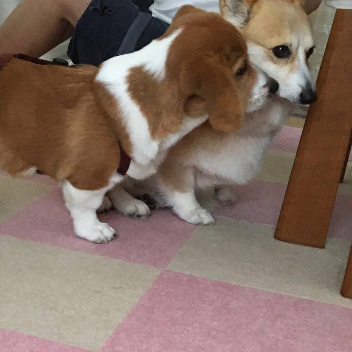 5764c9c2 37df 4170 9cdd d4edf7bde9c1 1594478663863