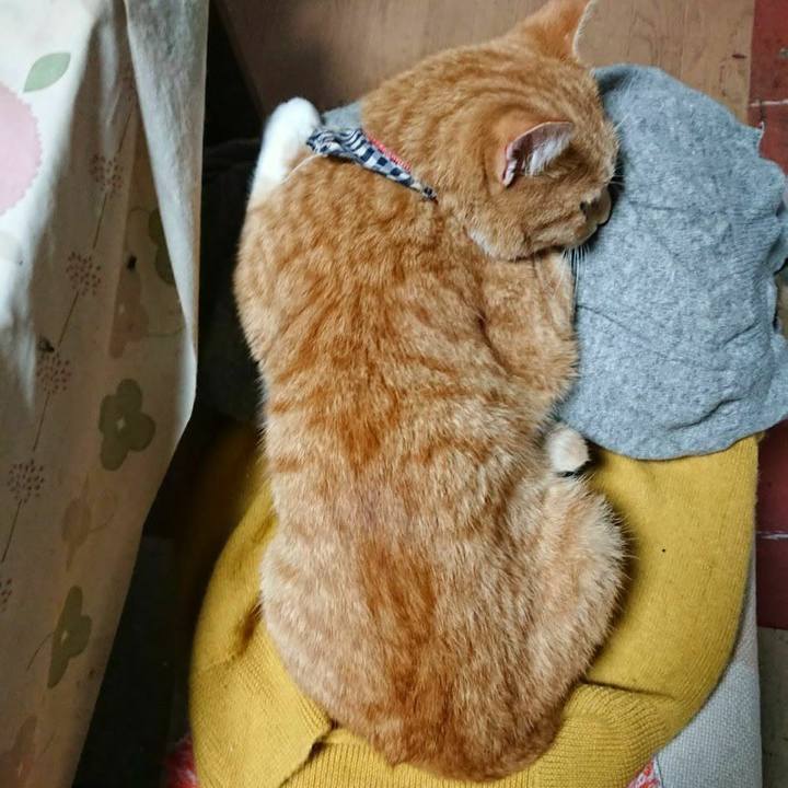 5764d338 a210 4240 8dba 93d03d325364 1571698175682