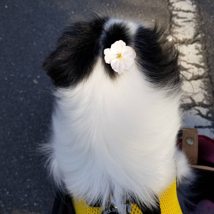 5764fd8e 87a2 42fe a605 222a41cc8b6e 1554026465272