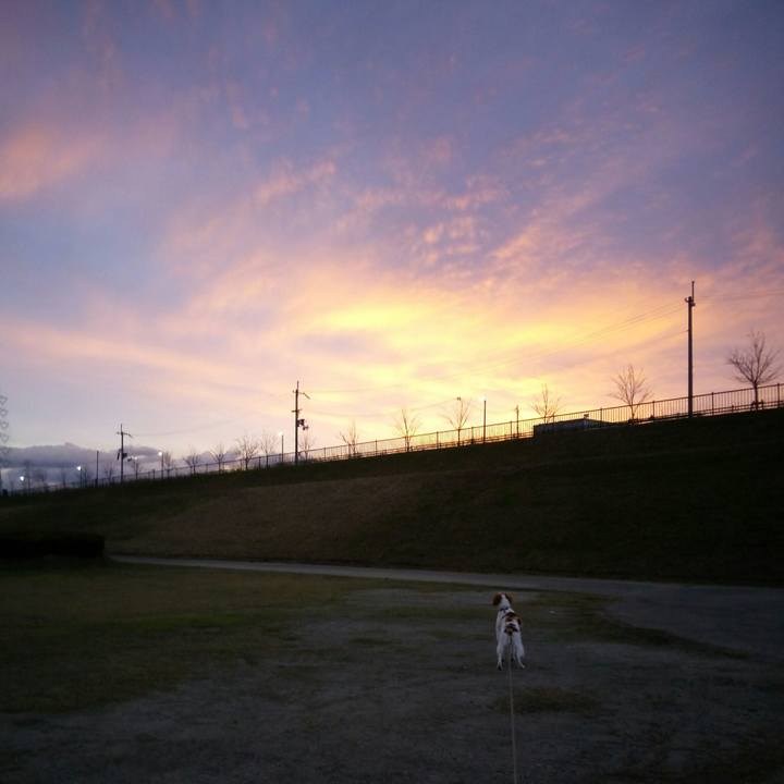 57651c62 9690 4872 90b0 b6ae67033d11 1513067181117