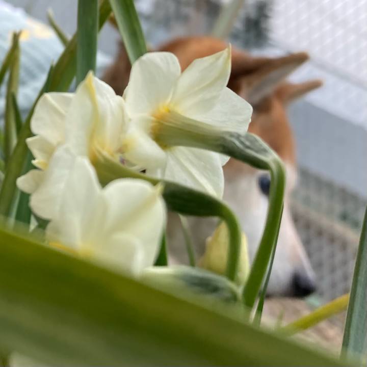 576520da 1edf 4bf8 a401 23c79dc165ea 1770449757264