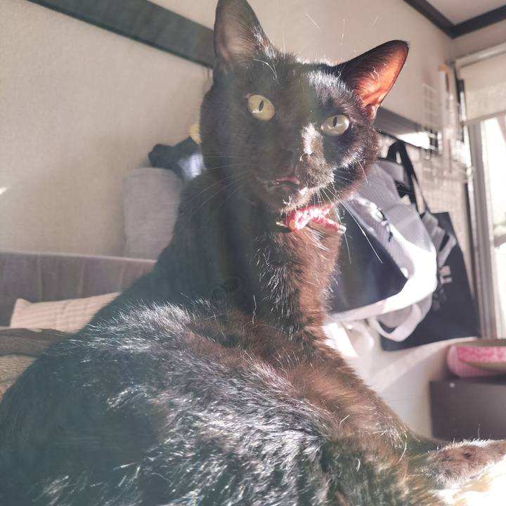 576527c9 c69c 4e48 aa4b 0991d7d32b82 1635459851491