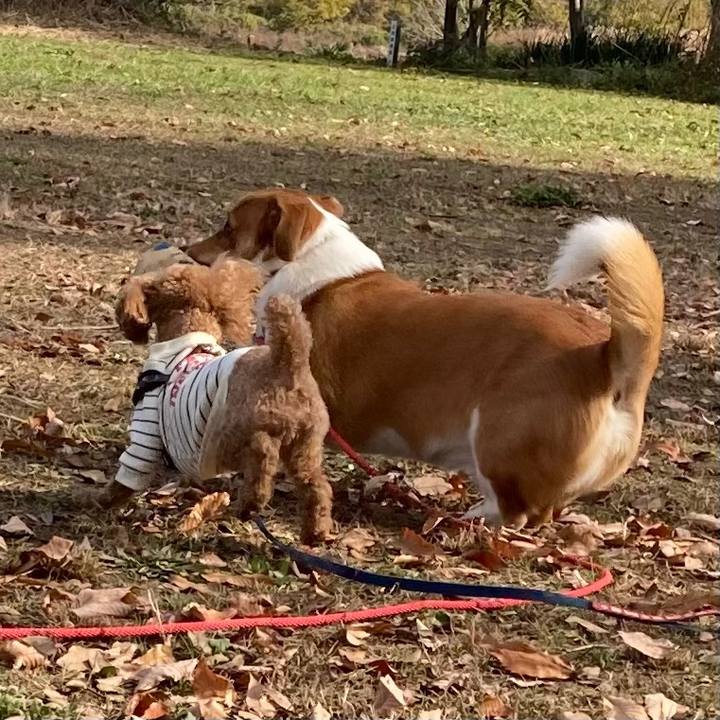 57652c1d 8340 4cf3 a785 9a3b1bc42ead 1638672462770