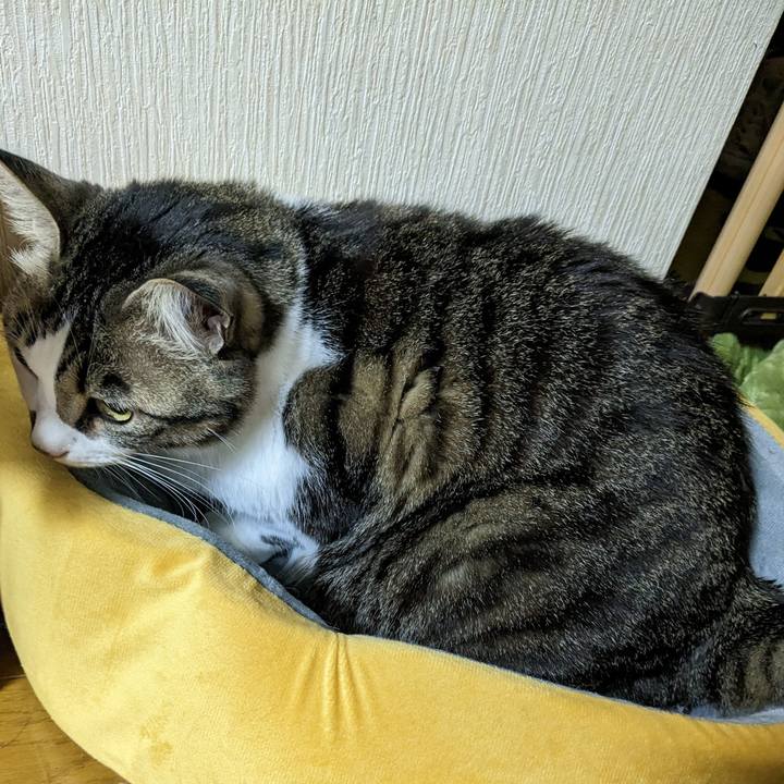 576533e6 0e53 438a 9439 5d9846f233e3 1679410327174