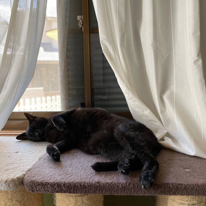 57657f28 9ada 4e8c bab6 0f7fc0a82912 1658629996869