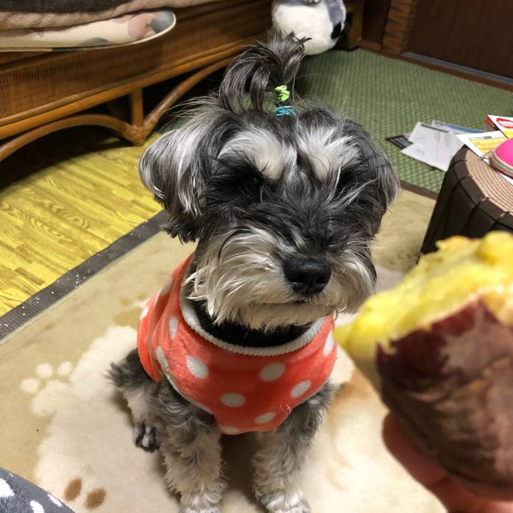 57657ff2 e7e3 4b0c a008 e3d723c35f03 1519814736617