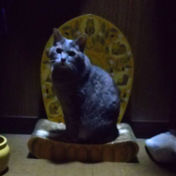 57658cb0 350b 47c2 9f59 b5dc232a06bb 1606770246780