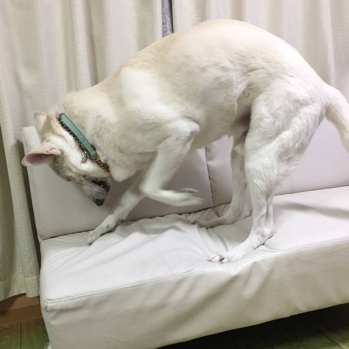 5765d138 668c 4981 bd67 9576fa317a3e 1564752268724