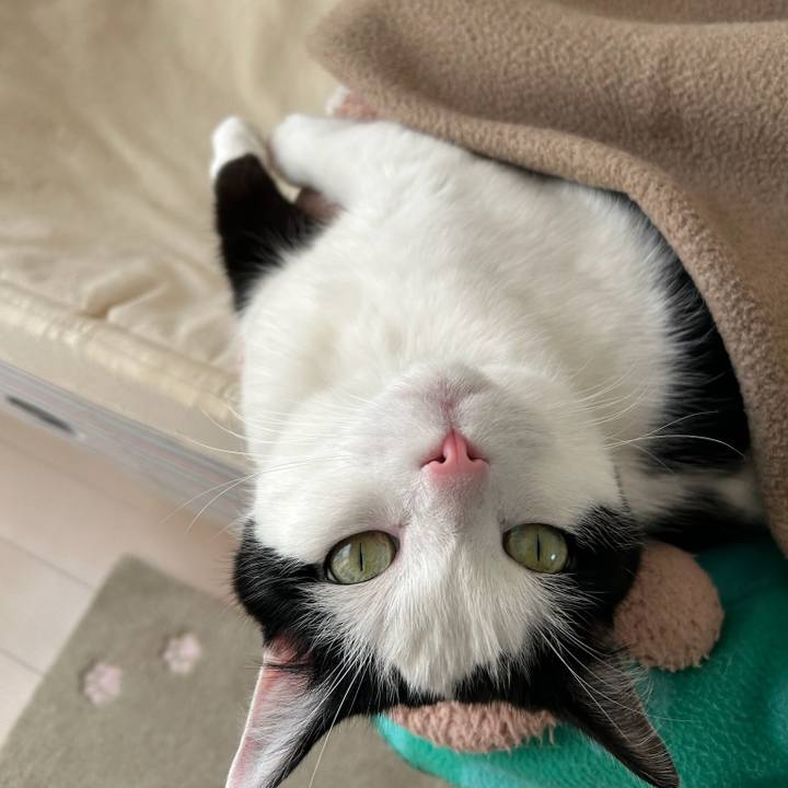 57661684 c61c 4226 b990 32f975ff0407 1767049488328