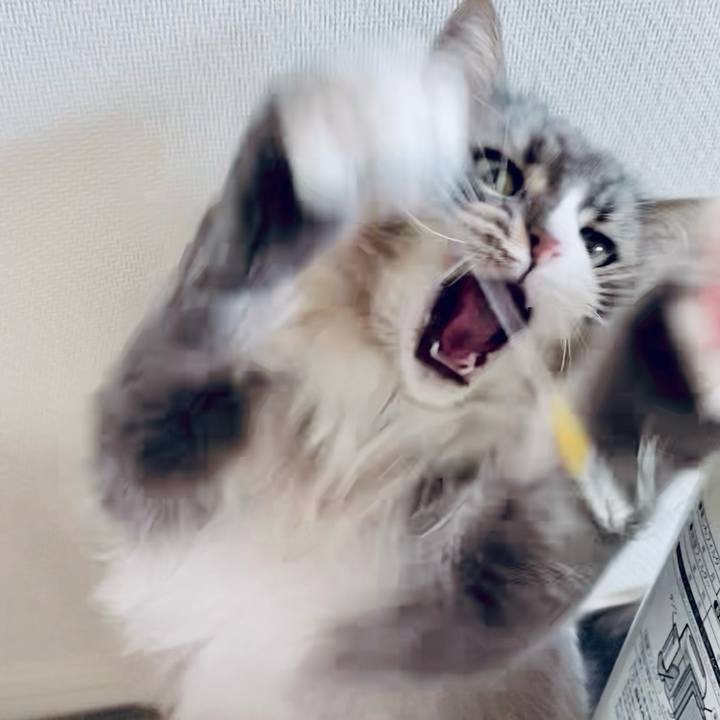 57663060 c18e 4ee4 8815 c52c815c0fdd 1763696919370