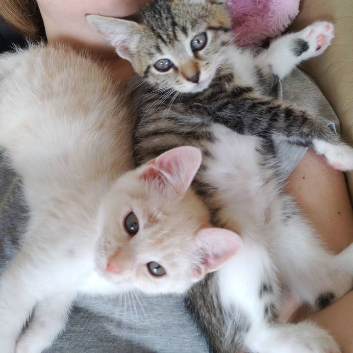 576669d9 98e3 43bf ad7a fc50b900e8bc 1624491150484