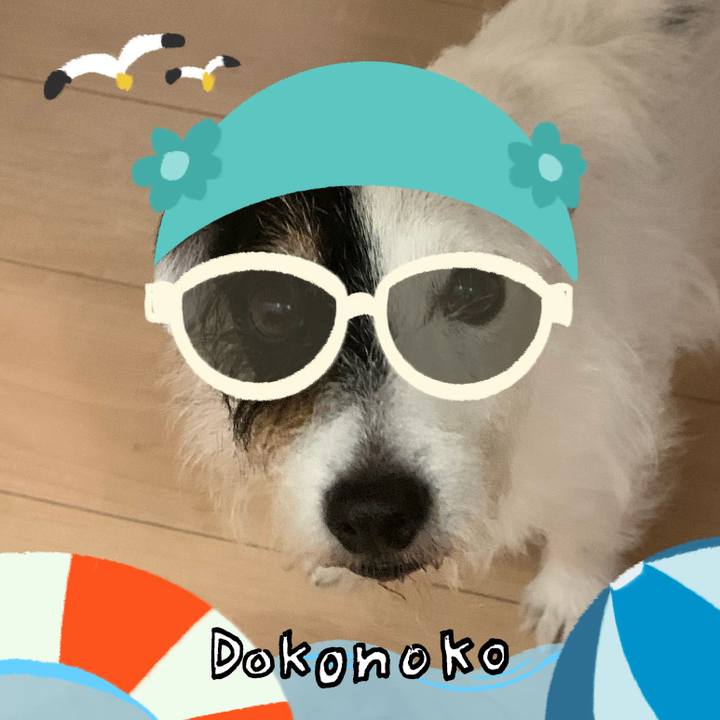 57668be6 a700 414a ad00 3393a4102df4 1723348361752