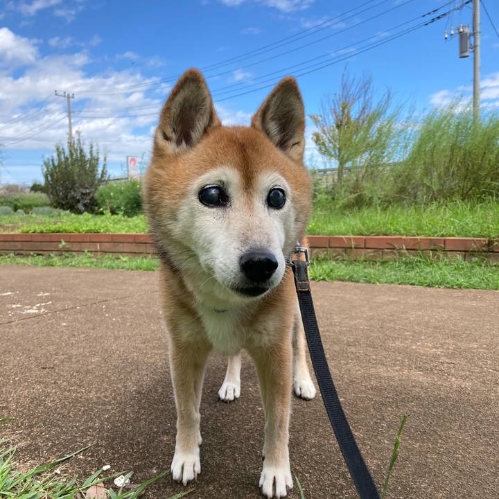 5766b6ea 6e31 4a7f bd26 7b6d15938a99 1758448776049