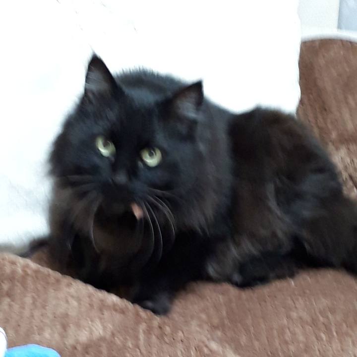 5766ef2a dd87 460d 8145 991390041793 1520889354867