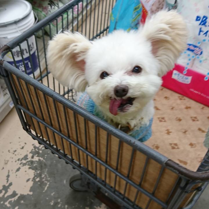 5767946e 2b49 4bd6 9ced eb75d667140c 1574081234197