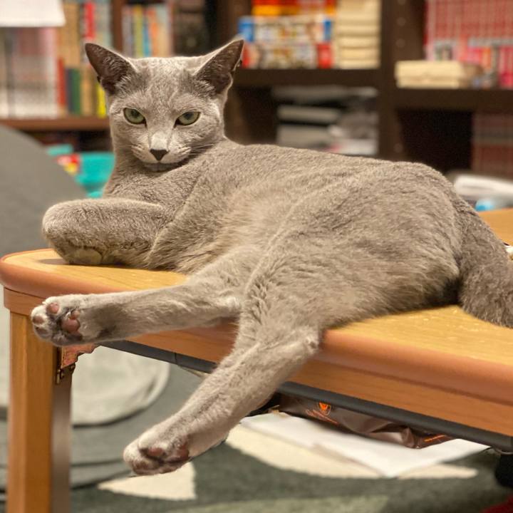 5767a63a bf57 4914 b33c 37f81e728a33 1653015203333