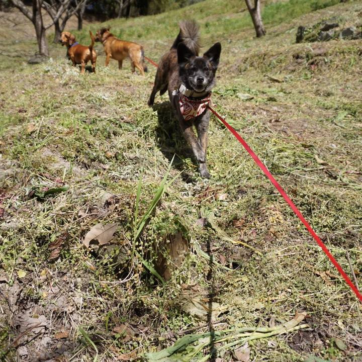 5767a6d0 4819 4908 8e2d 1d57eef65e1c 1554164774779