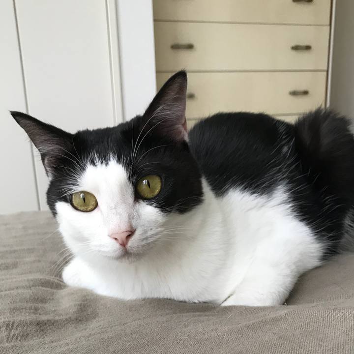 5767c319 df8b 47bd ad0d fd66e1a6c316 1531792210364