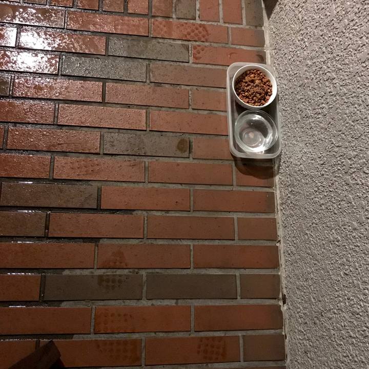 5767d5bd 43bd 4179 a8d4 ab80556bc14c 1548933468840