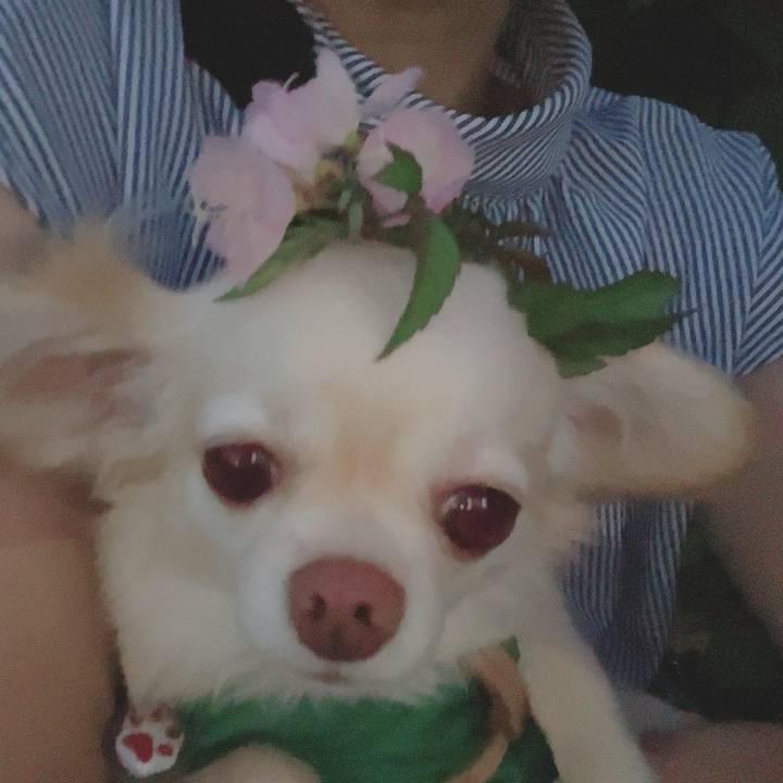 5767f16e c31c 4080 a096 b0bfcecf526e 1690197727736