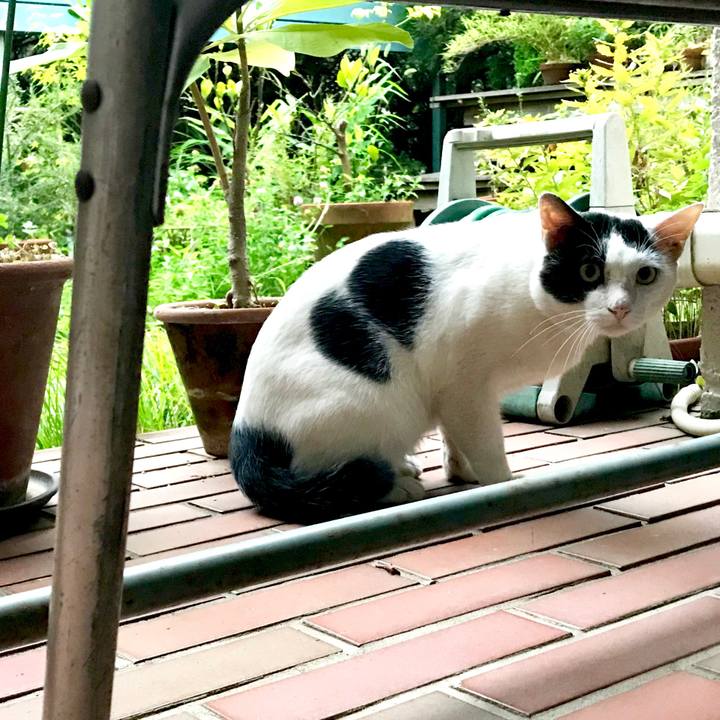 57680e6e 282a 4a1a 8f5f 5fbb62ccee4c 1533640662005