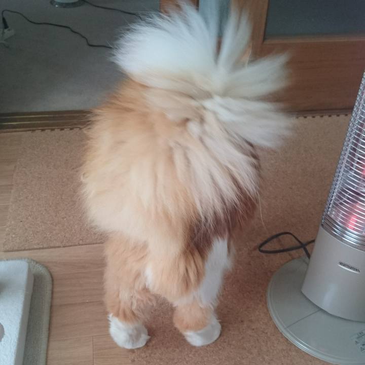 57682c58 9472 4bf9 b85b 0007251858e6 1515462571890