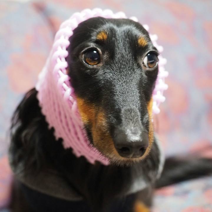 57683475 2230 48f9 80cd 87a50d5e50e4 1512349851447