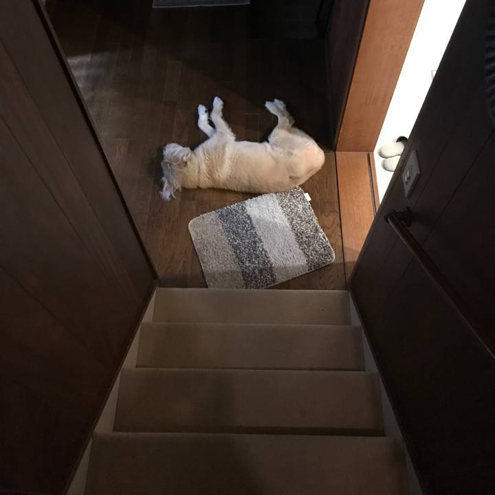 57686294 e830 4948 bb8f 7eab6c20b33b 1600588115202