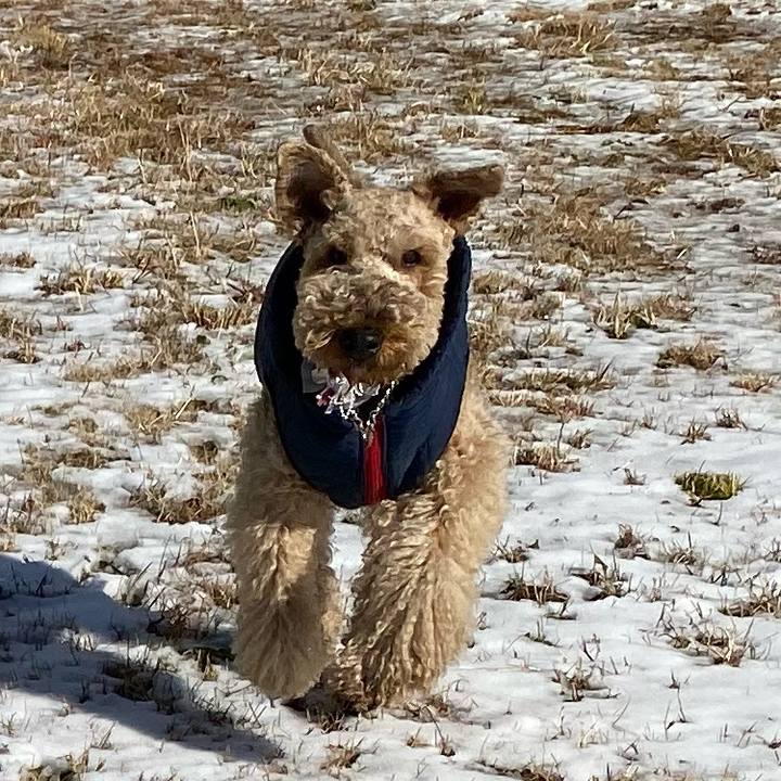 57688445 98c9 4a4a 9b69 533b83934ddc 1642067264743