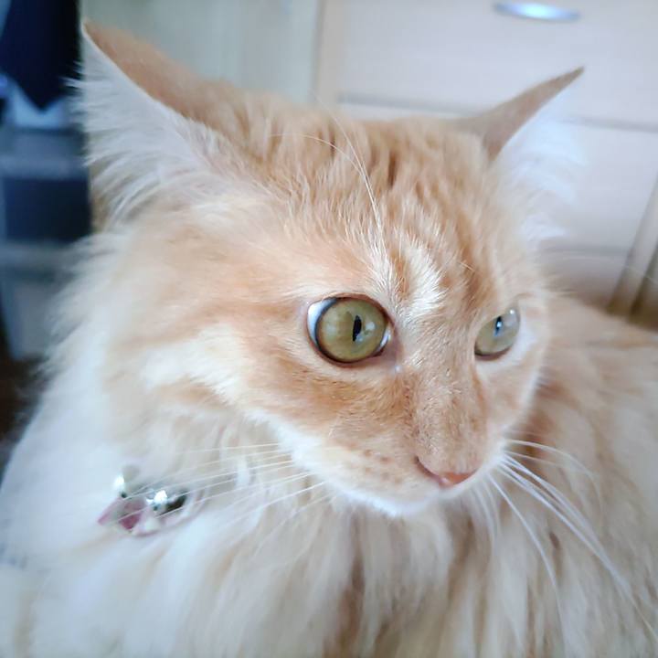 57689dc2 ab03 46a2 97a3 a9ed726d672c 1686969663542