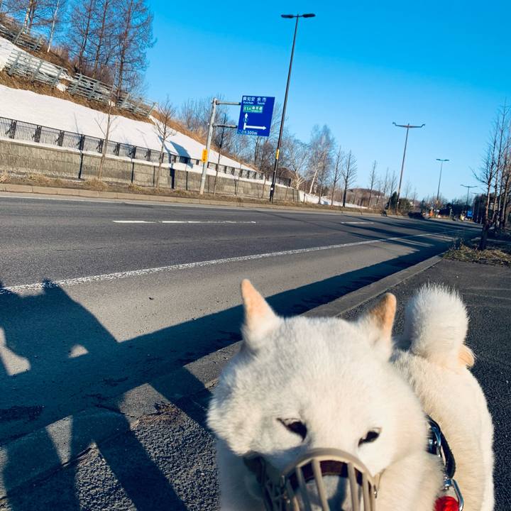 5768cb51 0c33 41f3 8b6c 2159a286fa5d 1649109555674