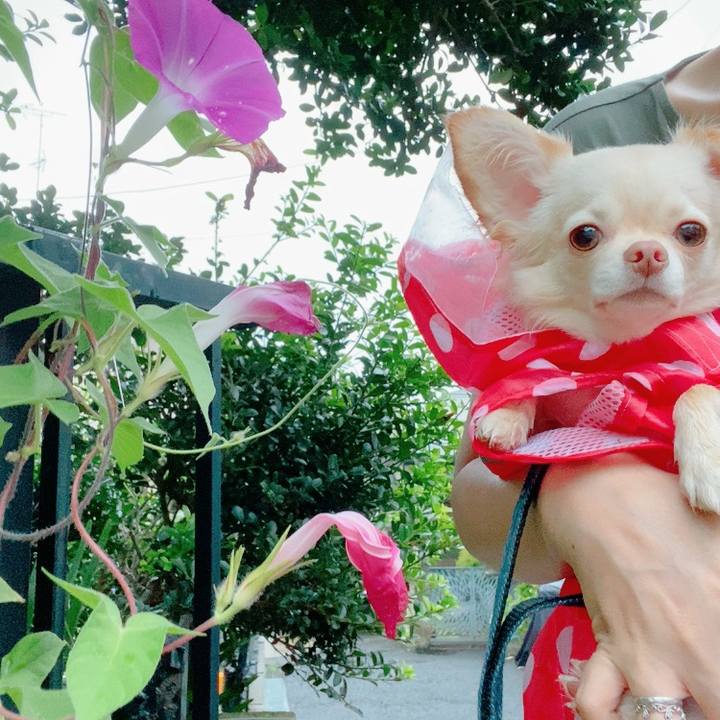 5768cd2f 28b4 4b0f 8dee 38d9af8bfdc5 1630489051962