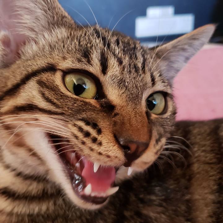 5768e986 cdc1 4dd1 8480 560fe404e7ec 1586928201028