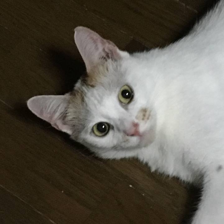 5768ee61 67e5 4858 bcc8 7f7184c19ca4 1564661691773