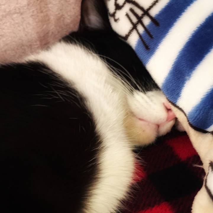 5769098b 81c0 40ee 8566 5eb06ae856e9 1514958678662