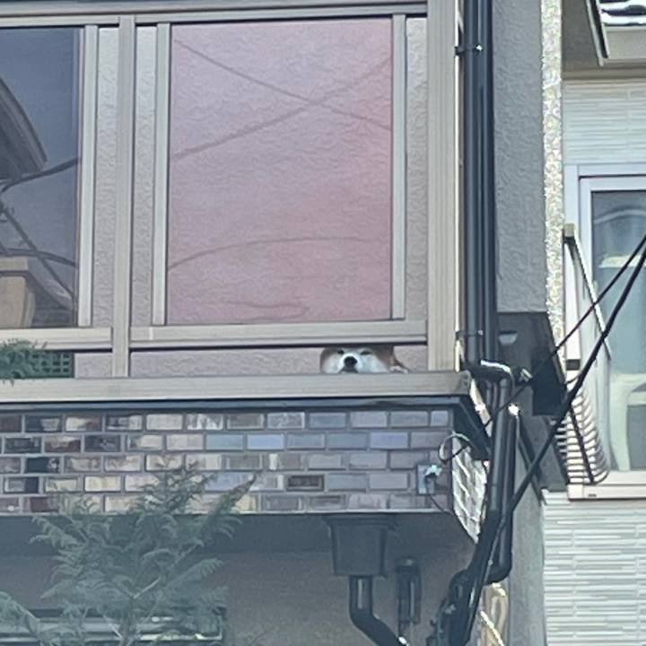 57696736 0a1a 4755 a711 5f307c551c1a 1646267702782