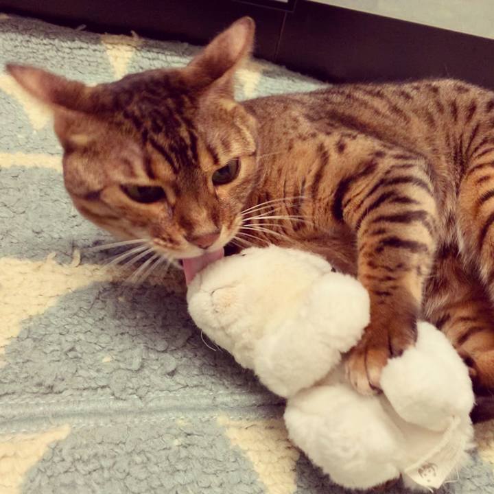 57697428 4435 449b 9bc3 227ca515fc6e 1576537692451