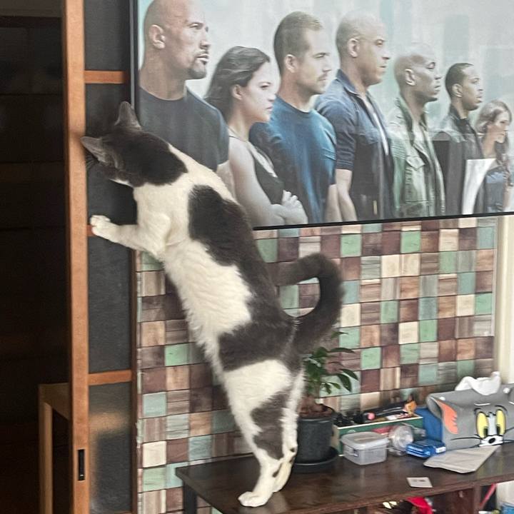 576987bc e0ce 40a7 aaae 366d1e9b4301 1707892698242