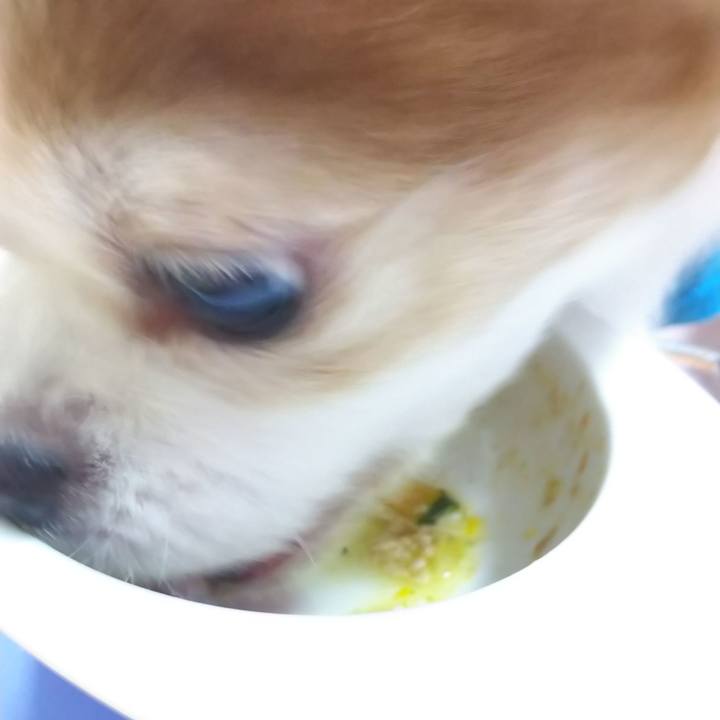 5769964b 9b90 4d7b 836f baad5540a1e6 1578396735033