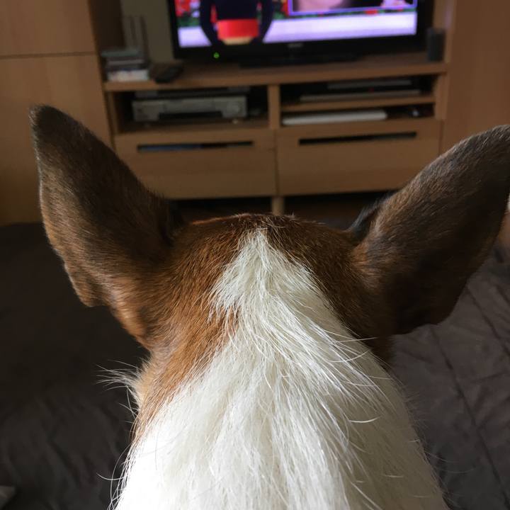 576996bb d6d0 446d bfa4 fd31cdbb470d 1577055381198