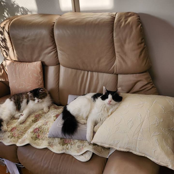 5769a51d 3fa3 46e3 b013 7e6ef77f643d 1702206286465