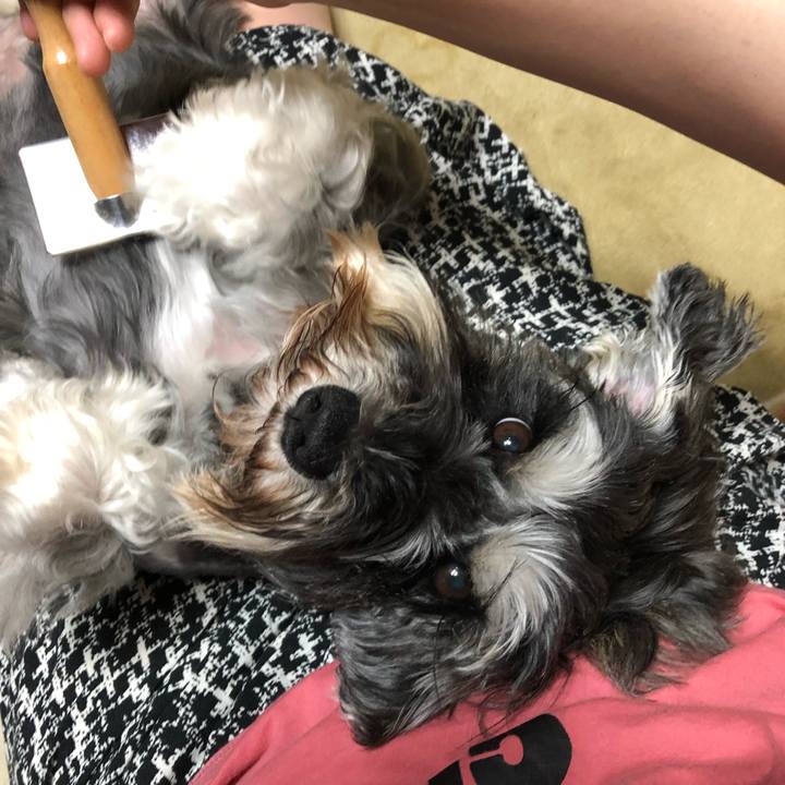 5769bfe9 7d02 4047 8dcc 3bd08d44a6cb 1562461762843