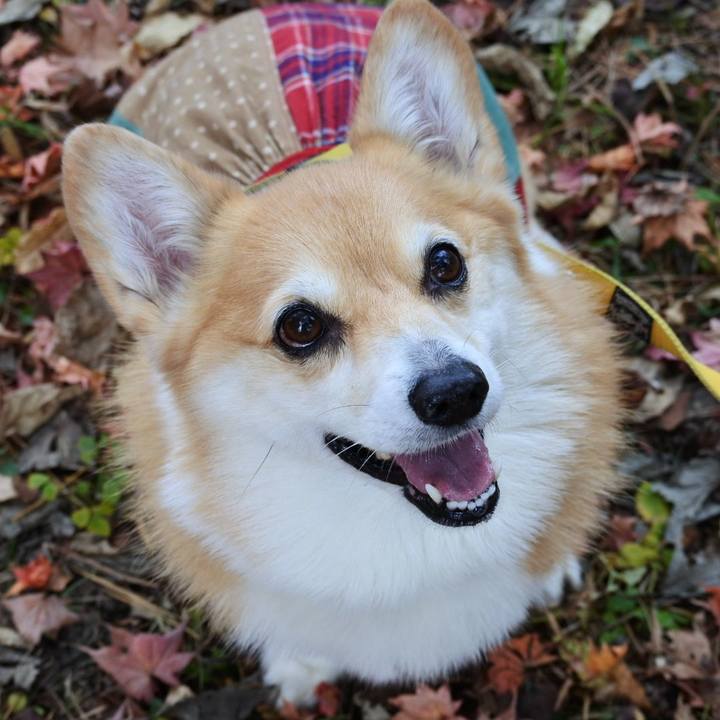 5769cce2 2ddb 4c8f bd1e e168e2931090 1758717198115