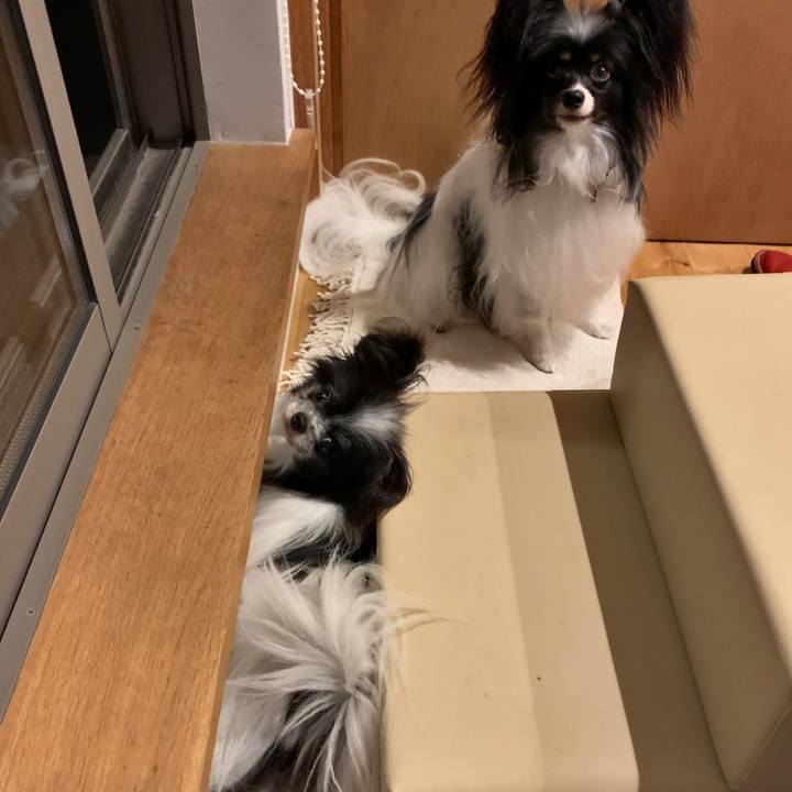 5769f9ae 5284 46e3 b8d1 785ef5d7a851 1625663013433