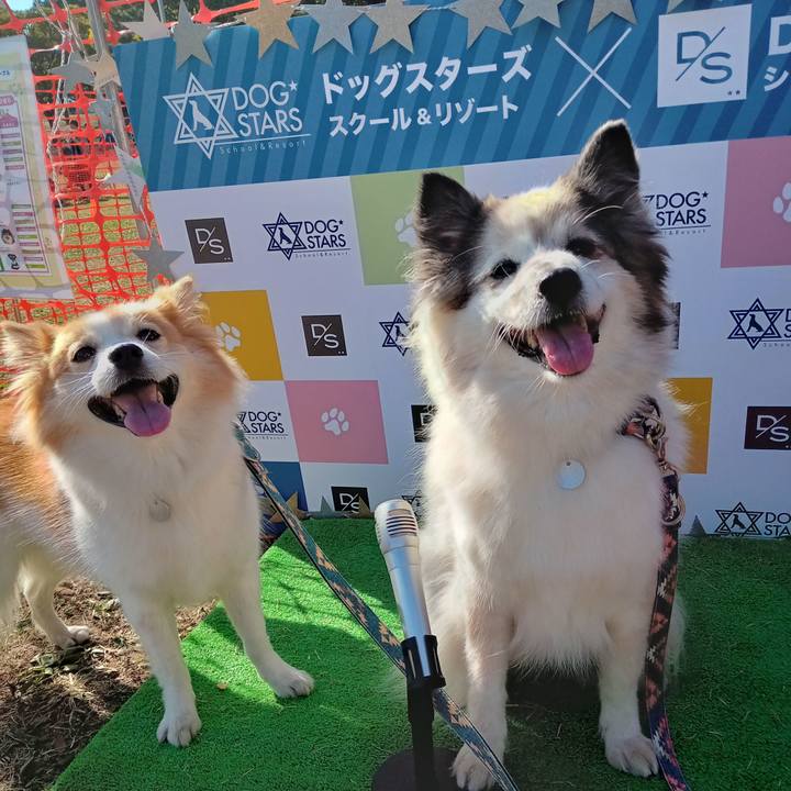 576a07b5 8b7f 42cc 86a5 98a7aefb2da5 1667733755098