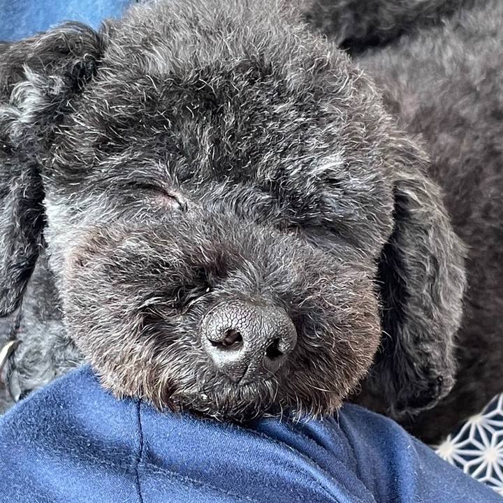 576a0fc3 8046 40ee 968d 2a0d81c10cc4 1681650487024