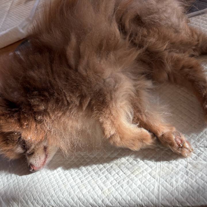 576a2af3 3a58 4438 9f27 7900ebfc9fc5 1760507337970